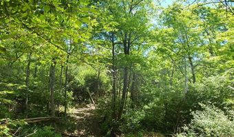 Eugene lot 19, Aurora, IN 47001