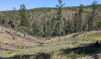 Old Camp Rd, Bellvue, CO 80512