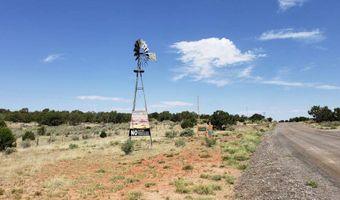 572 Windmill Rd, Carrizozo, NM 88301