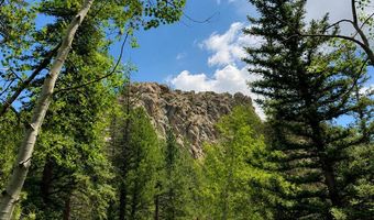 County Road 59, Allenspark, CO 80510