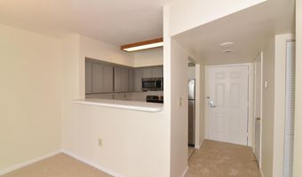 1001 N RANDOLPH St 215, Arlington, VA 22201