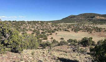 006 N8604, Concho, AZ 85924
