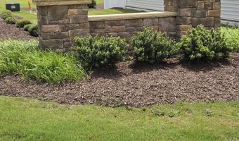 80 Nailsworth St, Angier, NC 27501