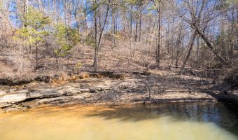 LOT 55 SOUTH POINTE, Arley, AL 35541