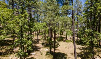 13 County Road N 2122, Alpine, AZ 85920