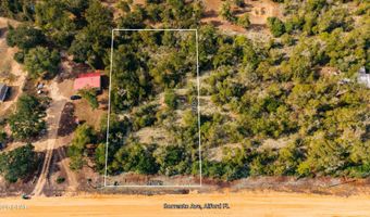 Sorrento Avenue, Alford, FL 32420