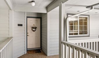 5203 Elk Ln, Basalt, CO 81621