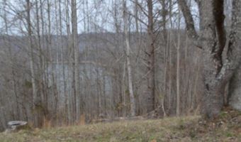 Fox Hill Road lot 4 & 5, Baxter, TN 38544