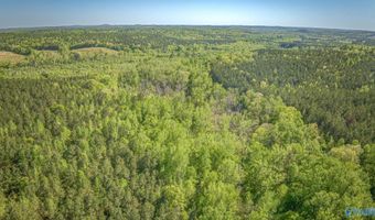 87 Acres Kay Hollis Rd, Beaverton, AL 35544