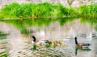 1090 Cherry Creek Rd, Ely, NV 89301