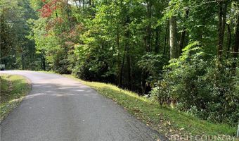 Basswood, Banner Elk, NC 28604