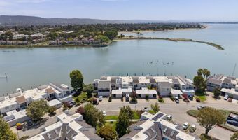 443 Cola Ballena, Alameda, CA 94501