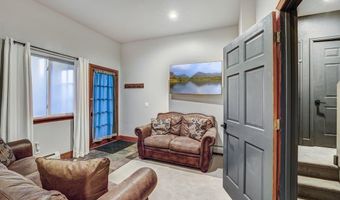 1095 Quartzville Rd, Alma, CO 80440
