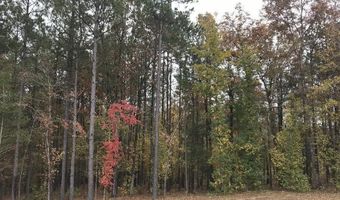 160 Slytown Rd, Amity, AR 71921
