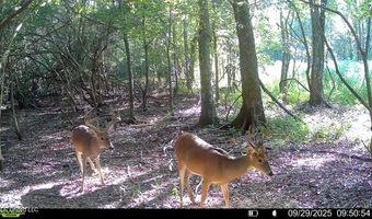 Putnam Road, Belzoni, MS 39038