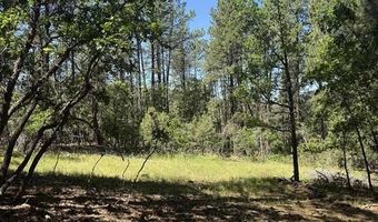 216 Fawn Dr, Bayfield, CO 81122
