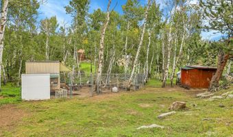 331 Bluebird Ln, Bailey, CO 80421