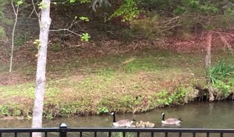 375 Middle Creek Rd, Afton, TN 37616
