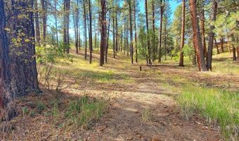 282 Pine Ln, Bayfield, CO 81122