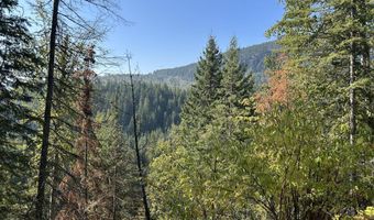 Tract 3 USFS 2294, Clark Fork, ID 83811