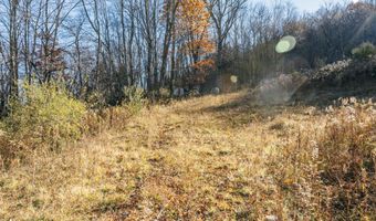 1361 Weaver Hollow Rd, Andes, NY 13731