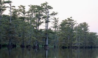 Bolivar Road, Benoit, MS 38725