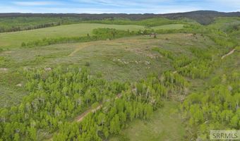 1542 W Rim Loop Rd, Ashton, ID 83420