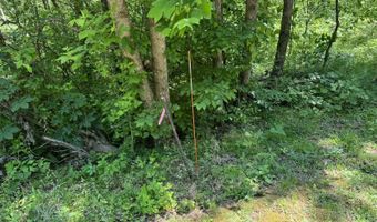0 94+/- Acres Lakeview Dr, Albany, KY 42602