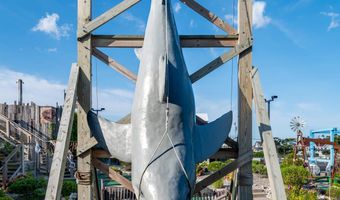 501 Broadway, Barnegat Light, NJ 08006