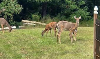 1668 State Hwy 498, Beattyville, KY 41311