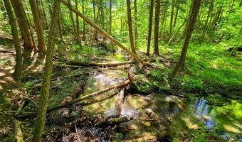 1905 Camp Munn Rd, Bradford, VT 05033