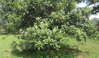 8500 NE 41ST Ct, Anthony, FL 32617