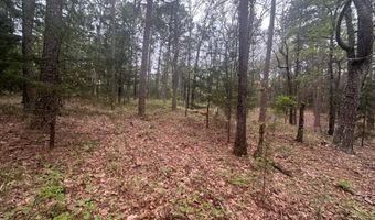 UNIT # 263B KIAMICHI WILDERNESS RD Unit # 63 63, Antlers, OK 74523