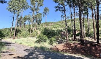 13886 County Road 501, Bayfield, CO 81122