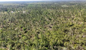 NW Miller Road, Altha, FL 32421