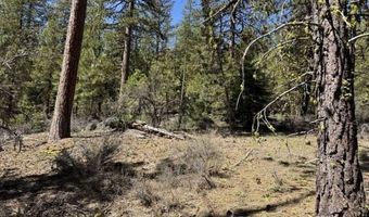 Horned Owl Lane, Bonanza, OR 97623