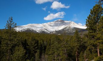1997 Big Owl Rd, Allenspark, CO 80510