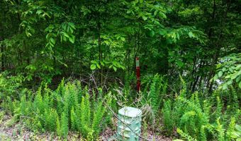 0 Lakeside Drive Lot 27-32 Lot 27-32, Arley, AL 35541