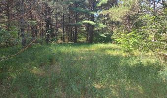 Lot 114 County Road Z, Arkdale, WI 54613