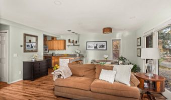 106 Swinging Bridge Ln, Basalt, CO 81621