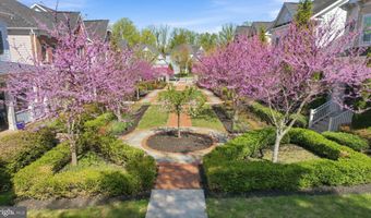 9123 OLD GEORGETOWN Rd, Bethesda, MD 20814