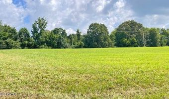 3945 Old Trezevant Rd, Atwood, TN 38220