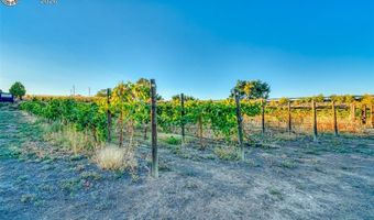 1704 Willow St, Brookside, CO 81212