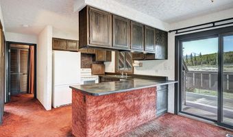 66 Lake View Cir E, Breckenridge, CO 80424