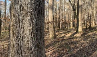 1500 Burton Loop Rd, Altoona, AL 35952