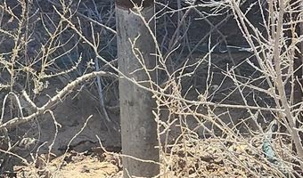 40 Acres, Bosque, NM 87006