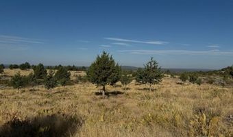 Old Coyote Ct, Alturas, CA 96101