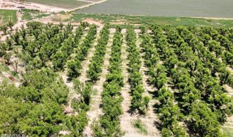 Wallace Road, Anthony, NM 88021