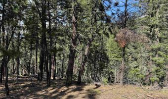 El Vado Way lot 1662, Angel Fire, NM 87710