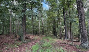 26 33 ACRES HICKORY CORNER Rd, Augusta, WV 26704